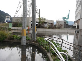 市営ビル、魚河岸方向の冠水